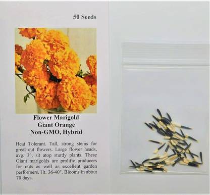 VibeX ® VLR-345 Marigold Giant Orange Seed