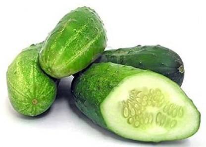 CYBEXIS Early and Productive Quality Russian Variety Cucumber Seeds 1000 Seeds Seed