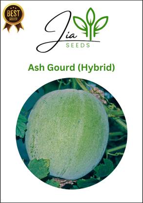 JIA Ash Gourd, Pani kakharu, Genuine High Quality Ash Gourd Seed