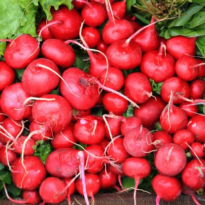 Shivnami Red Turnip, Turnip Red Seeds, Salgam Seed