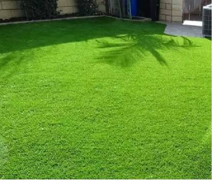 BDSresolve korean grass seeds,korean lawn grass seeds,korean velvet grass seeds Seed