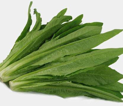 VibeX ® RXI-689 Chinese Lettuce Mak Choi Yu Mai Tsai Seed