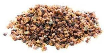 arasutraders MAGILAM POO / DRIED SPANISH CHERRY FLOWER / ?????? ?? Seed