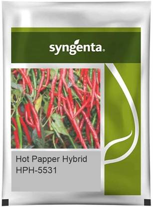 syngenta HPH 5531 Chilli Seed