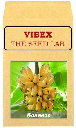 CYBEXIS Heirloom Bananas Hybrid Seeds-250 Seeds Seed