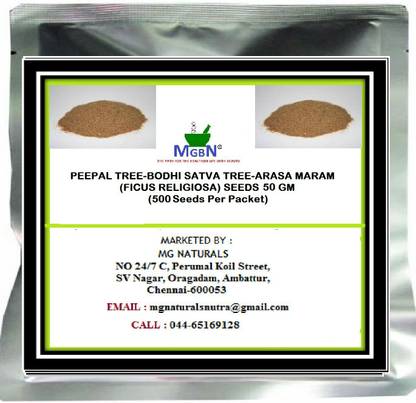 MGBN PEEPAL TREE-BODHI SATVA TREE-ARASA MARAM (FICUS RELIGIOSA) SEEDS-50 GM Seed