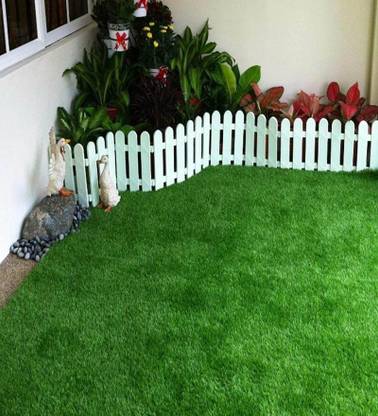 BDSresolve korean grass seeds/korean lawn grass seeds/korean velvet grass seeds Seed