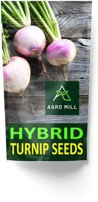 AGRO MILL ORGANIC TURNIP/SHALJAM/SALJAM HYBRID F1 PREMIUM QUALITY FOR KITCHEN GARDEN Seed
