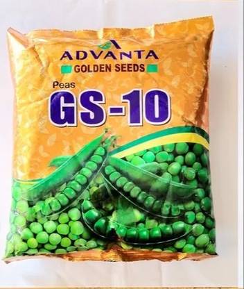 SAGAR gs10 pea Seed