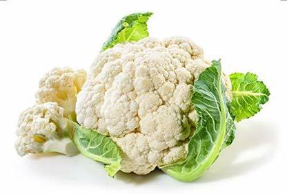 VibeX Vegetable Cauliflower (फूलगोभी) For Home and Gardning Winter(250 Seeds) Seed