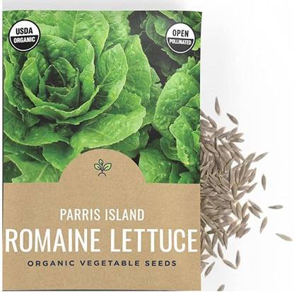 VibeX PUAS-9 - Parris Island Romaine Lettuce - (150 Seeds) Seed
