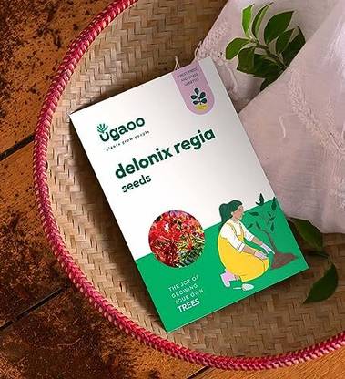 UGAOO Delonix Regia Seeds (Flamboyant Tree) - 100 g Seed
