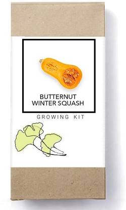 Biosnyg Butternut Winter Squash-[50 Seeds] Seed
