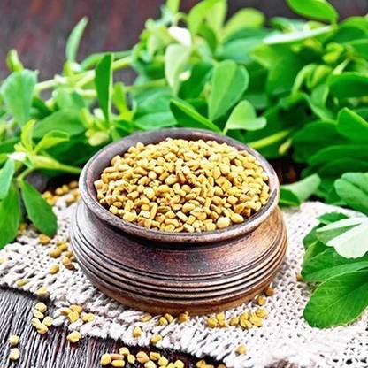 Advance seeds Methra Seed
