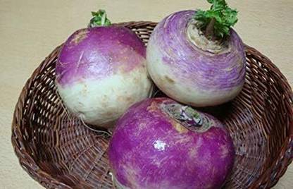 Aywal Scarlet Queen Turnip Seed