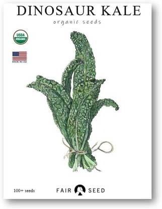 WILLVINE SCI -XVI Organic Dinosaur Kale 1g, 300 Seeds Seed