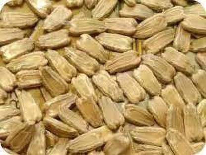 tigata BOTTEL GOURD Seed