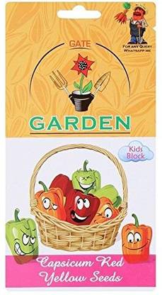 CRGO CAPSICUM , SHIMLA MIRCH Seed