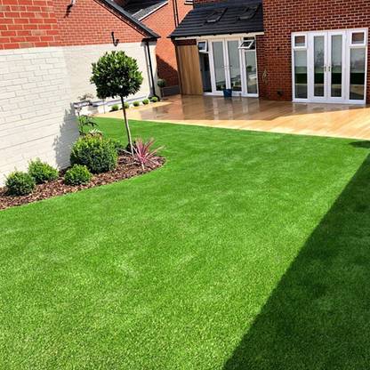 PMA Lawn Grass, Original Seed for Gardening, Park, Playground, Home Garden, Lawn Seed