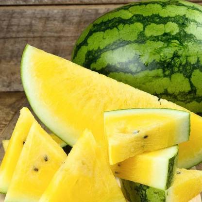 EMKOT Yellow Crimson Watermelon Seed