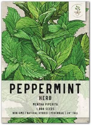 VibeX ® LXI-106 Peppermint Seeds(Mentha piperita) Seed