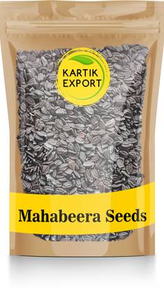 Kartik Export Mahabeera Seeds - Mahabeera Ginjalu - for Knee & Joint Pains Seed