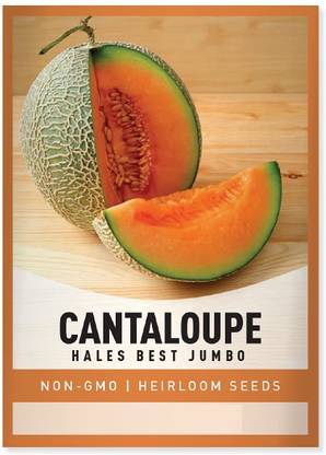 Biosnyg Musk Melon Cantaloupe Hales Best Jumbo-[800 Seeds] Seed