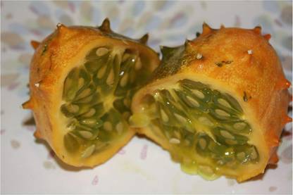 VibeX ® VXI-615 African Horned Cucumber Kiwano Seed