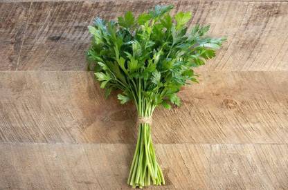 VibeX LXI-56 - Herb Parsley Peione - (750 Seeds) Seed