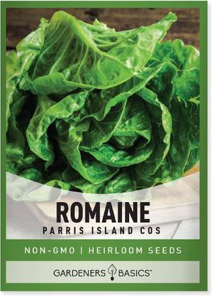 WILLVINE TLX-9 Romaine Lettuce Seeds Seed