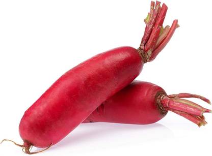 VibeX HUA-99 - Radish - Fire Candle - (750 Seeds) Seed