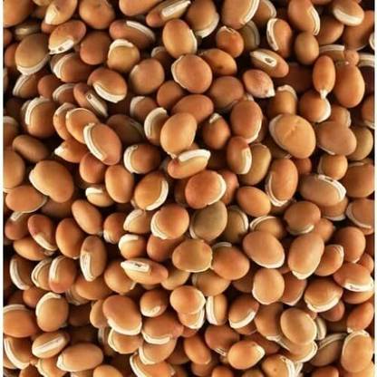 ANDARISTORE Lima Beans 500g / Balar Dal / Avarekalu / Vellai Mochai Kottai Payaru Seed