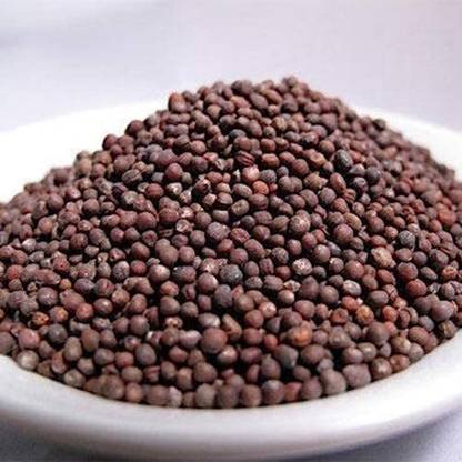 Aywal Ornamental Kale-Round Leaves Plant Seeds Seed