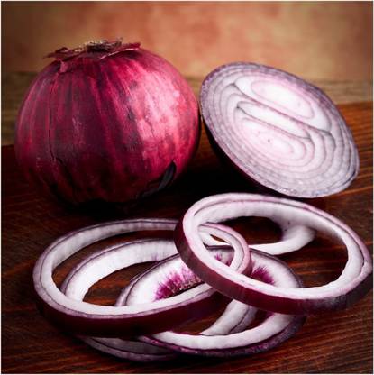 CYBEXIS VXI-87 - Red Burgundy Onion - (1500 Seeds) Seed