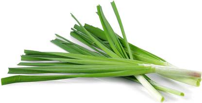 WILLVINE ATS-57 Organic Chives Seeds Seed