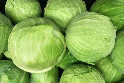 Mozette Organic Cabbage Seed