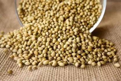 MAA Corinader, Dhania Seed
