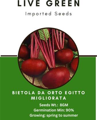 Udanta Live Green Imported Seeds - Bietola Da Orto Egitto Migliorata Beetroot Seeds Seed