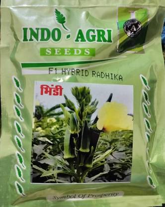 HYBRID 100g, F1 hybrid radhika bhindi/ okra seed highest yield variety early fruiting Seed