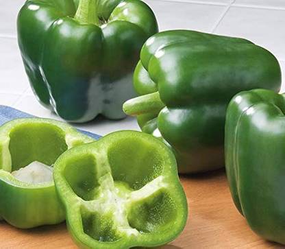 BDSresolve bell pepper seeds for home garden/capsicum seeds 42 Seed