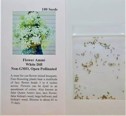 VibeX ® RXI-267 Ammi White Dill Seeds Seed Price in India - Buy VibeX