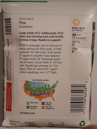 VibeX XLR-6 - Pea Snow Snowbird - (300 Seeds) Seed