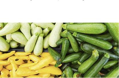 VibeX ® XXL-495 Zucchini and Squash Mix Seeds Seed