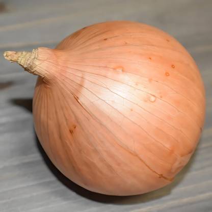ASPEN Nasik Red Onion Seeds | Red Onion seeds | Onion Seed