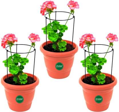 Urban Plant Minimalistic Trellis Plant Support Plant Straightener