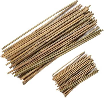 Mylife 3 Feet 20 Pcs, 1 Feet 50 Pcs Bamboo Sticks for All Kinds Plants Support Stakes Plant Straightener
