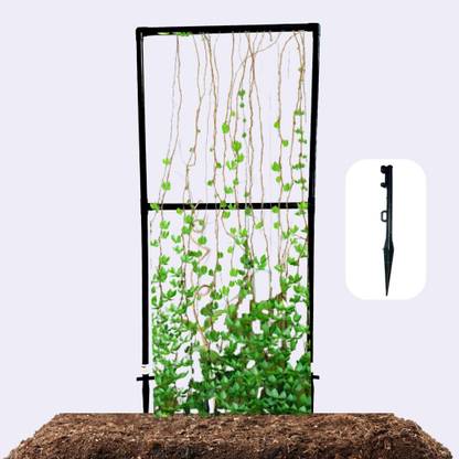 invelligen Garden Plant Support Trellis 5x2 Feet | Stem Support Stakes & Garden Poles Plant Straightener