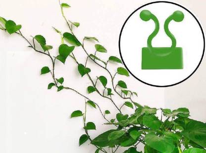 MIKOYAN 30pcs / Pack Green Invisible Wall Vine Climbing Sticky Plant Support Hook Plant Straightener