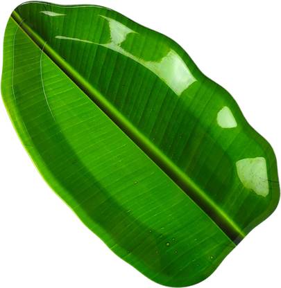 Tigris Premium Melamine Banana Leaf Shape Breakfast Lunch Dinner Serving Platter Plates Dinner Plate