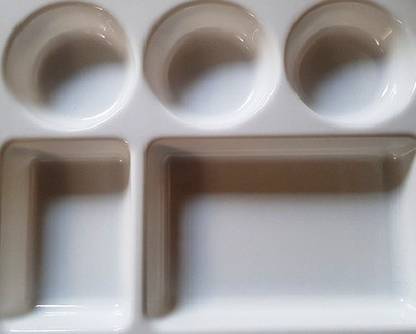 DHANAM 5 in 1 Compartment Plate (5 Section Plate) , Compartment Divided Dinner Plates Sectioned Plate